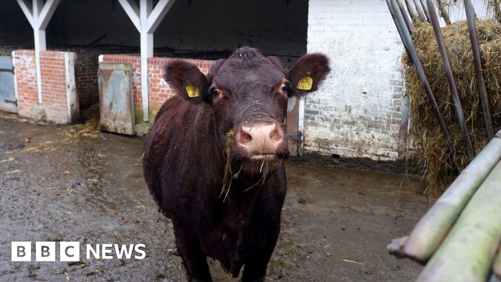 Grants for pioneering Surrey farms which use lasers and GPS