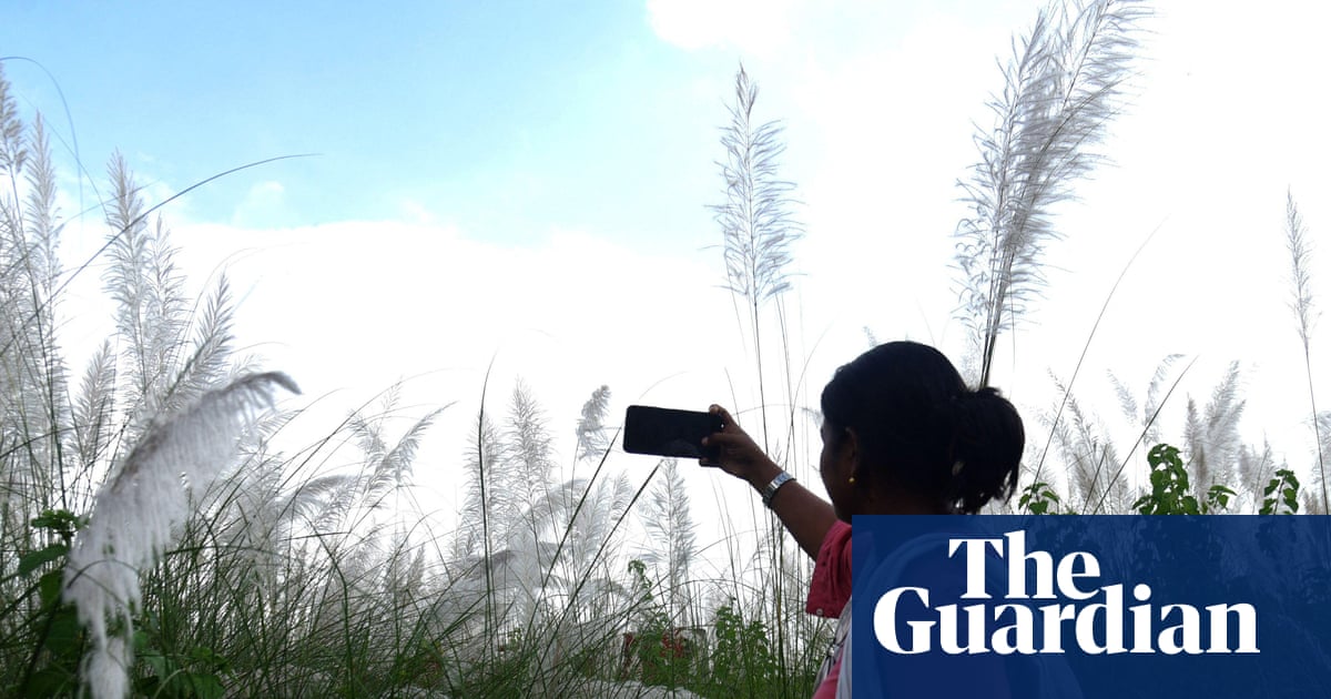 World Bank says ‘small AI’ could transform developing countries