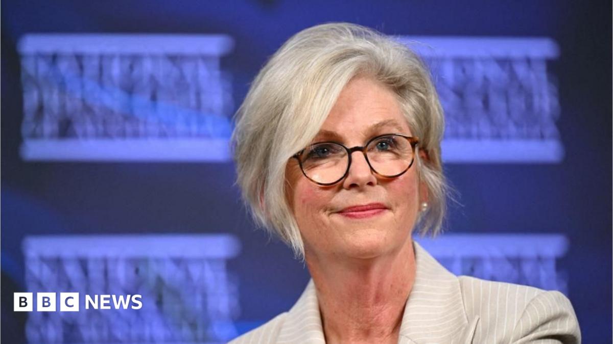 Helen Haines: What we know about Australian MP hit by car