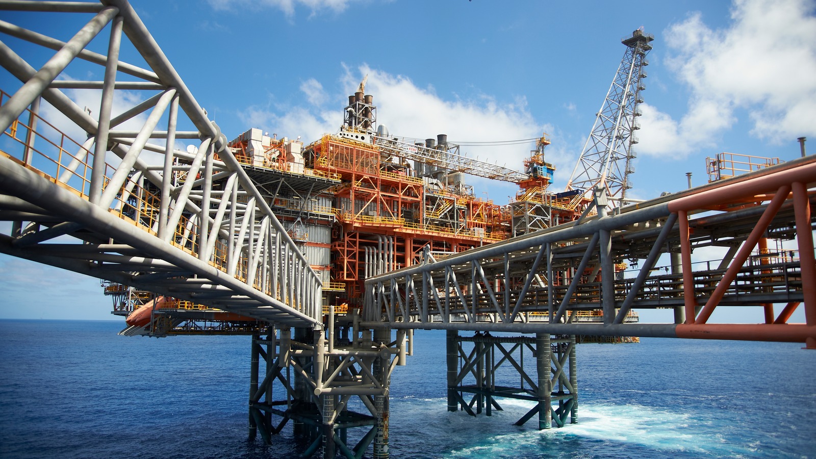 Does Woodside Energy Group (ASX:WDS) Scarborough Protest Pause Change The Investment Case?
