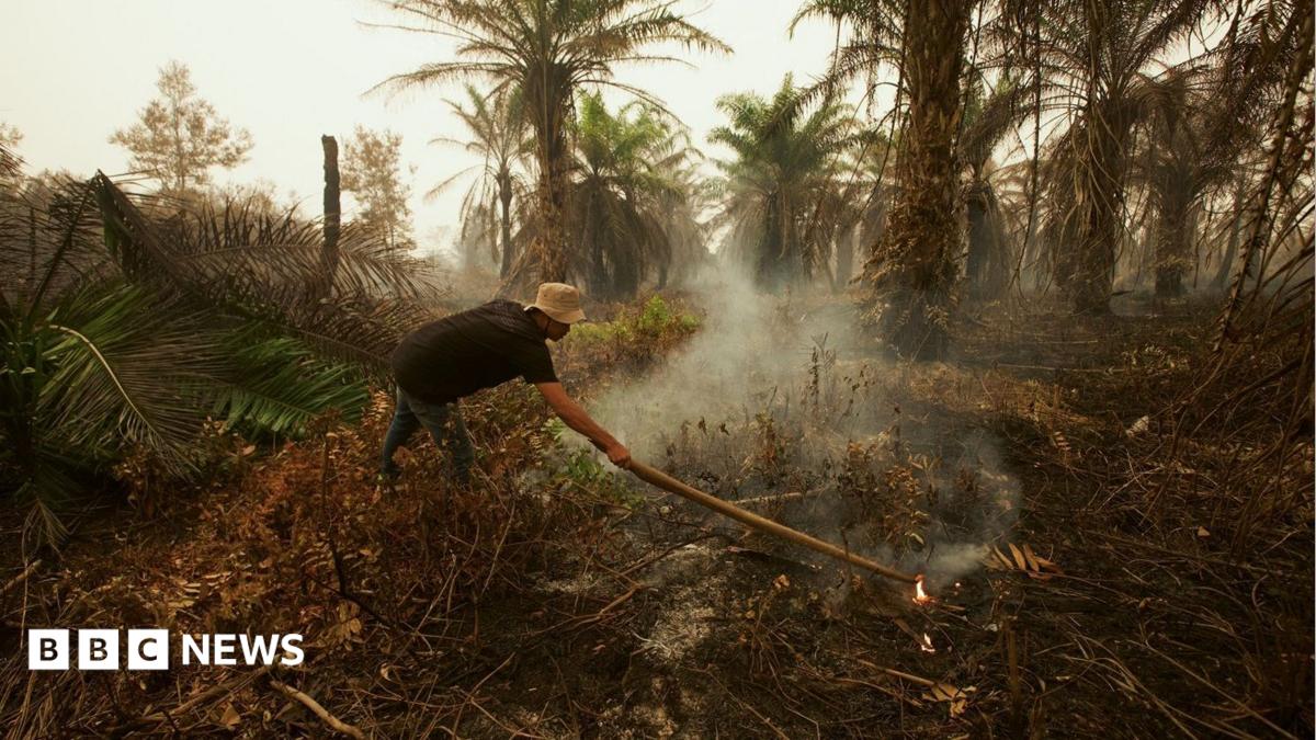 'It smells like charred earth': BBC at Indonesia fire epicentre causing Singapore and Malaysia haze crisis