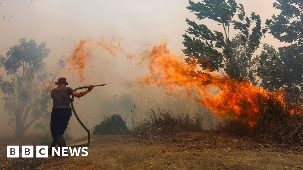 Borneo is burning - living on the frontline of Asia's toxic haze