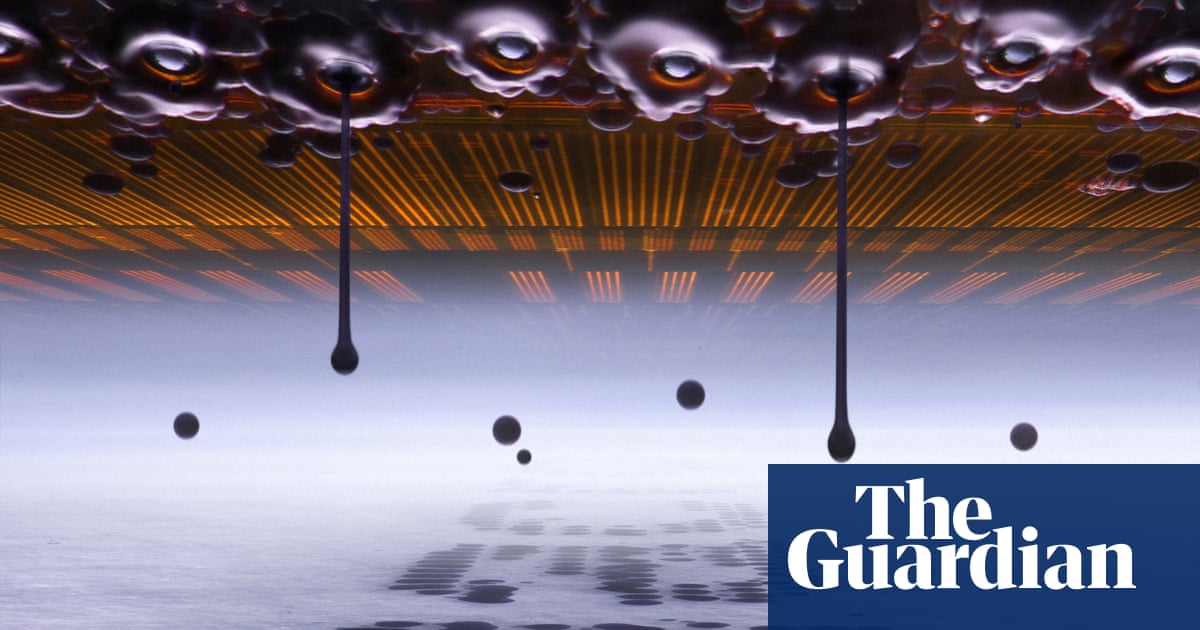 Nikon’s Small World photomicrography competition winners – in pictures