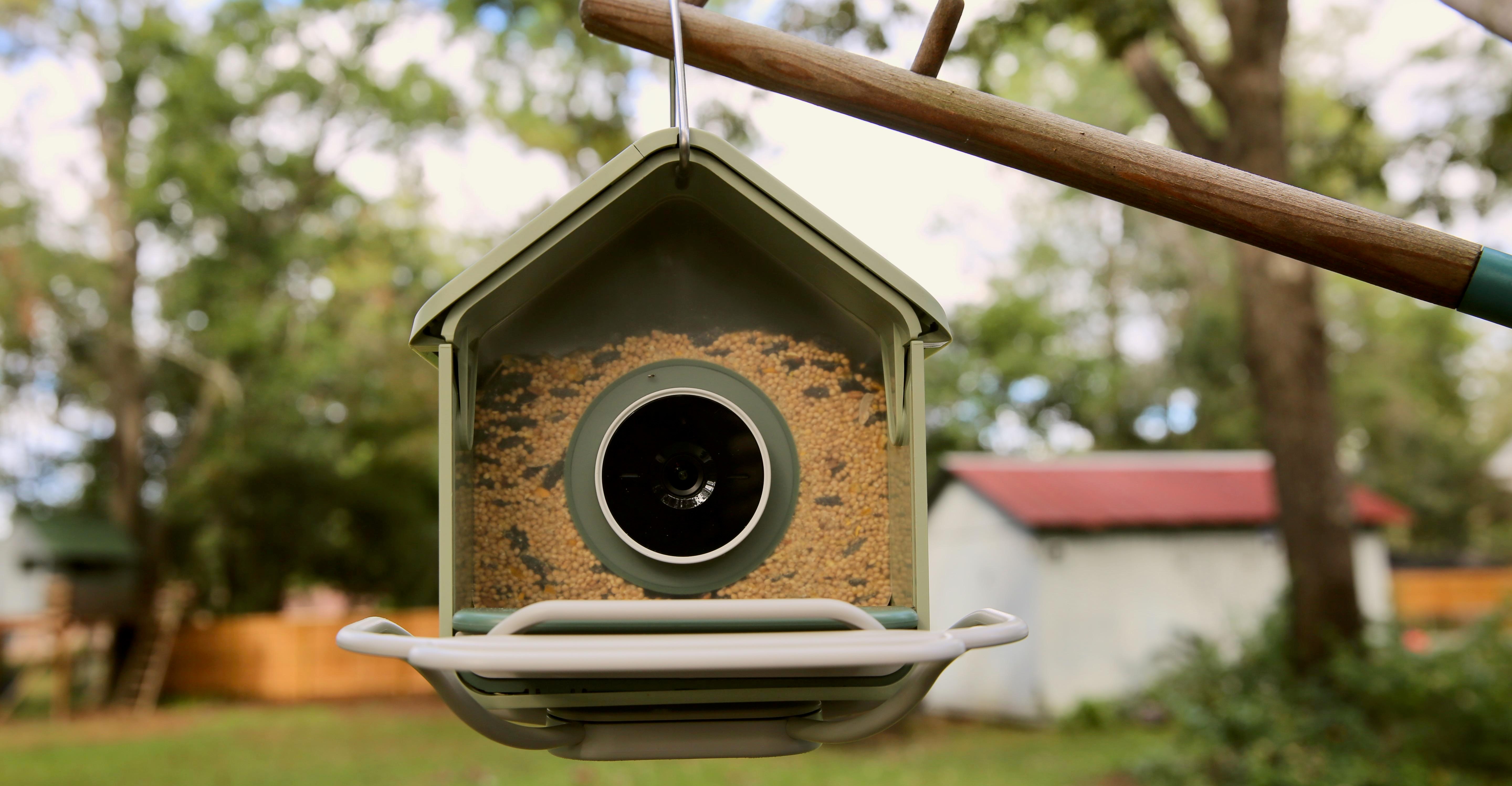 Birdbuddy’s budget feeder foiled my squirrels