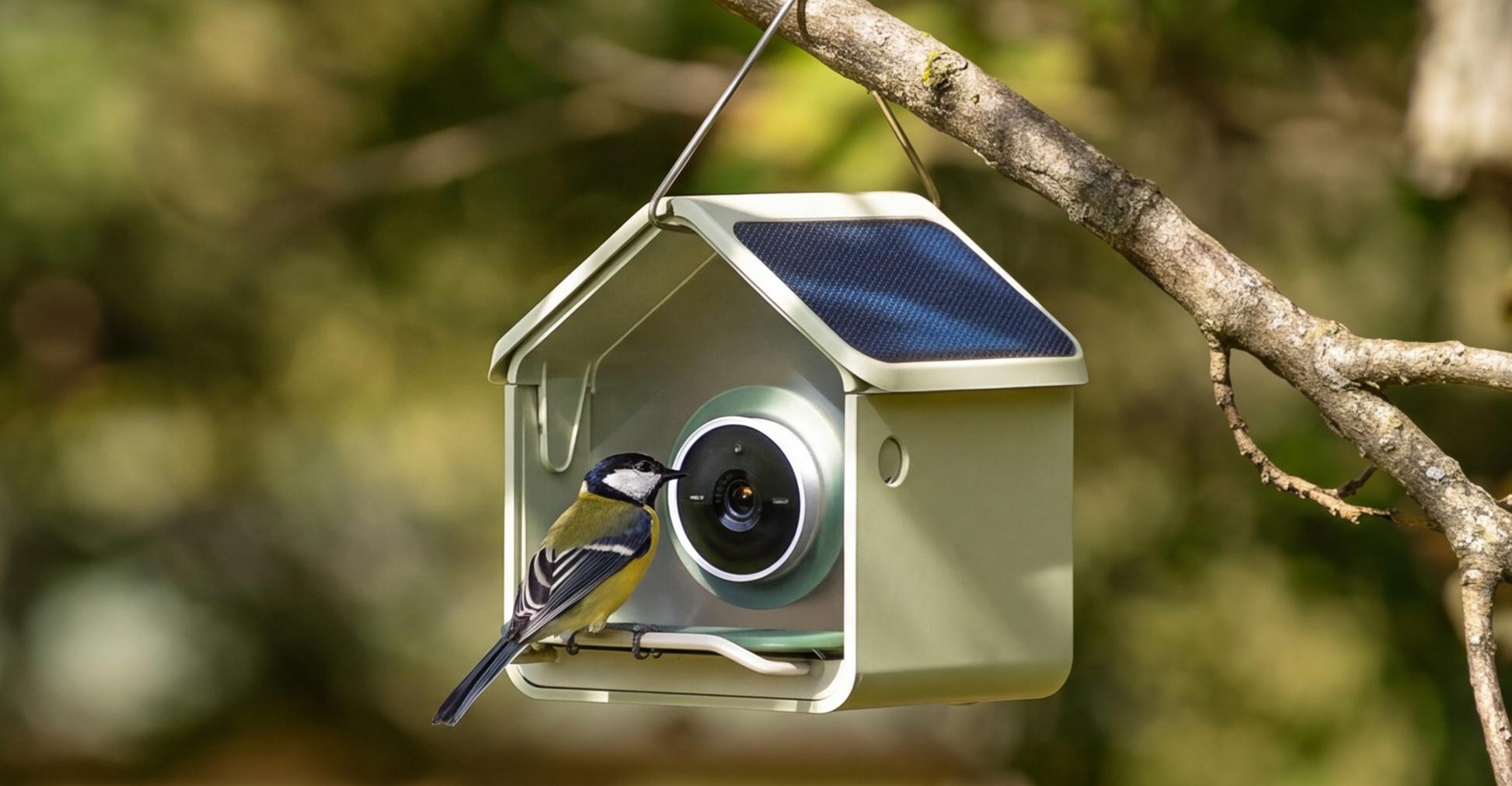 Birdbuddy’s Nook is a compact smart bird feeder for small spaces and budgets