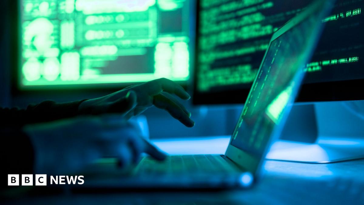 Councils and NHS boards take websites offline after security alert