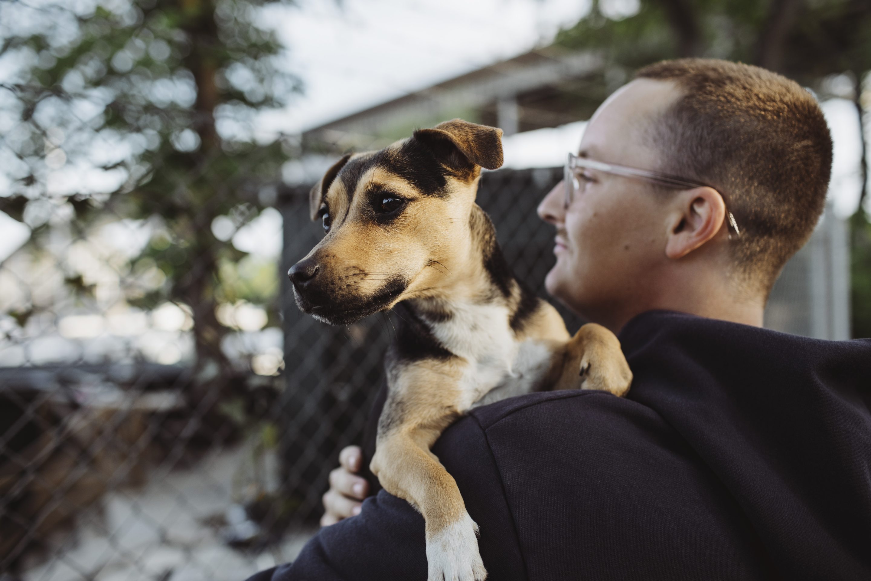 Merck Animal Health SVP: to promote human health, invest in protecting animals