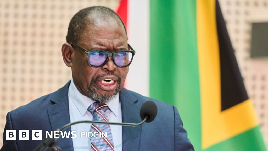 South Africa petrol price reduction: Key highlights from Minister of Finance Godongwana mid term budget speech