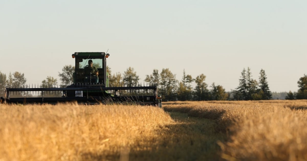 Canadian agriculture’s $12 billion opportunity