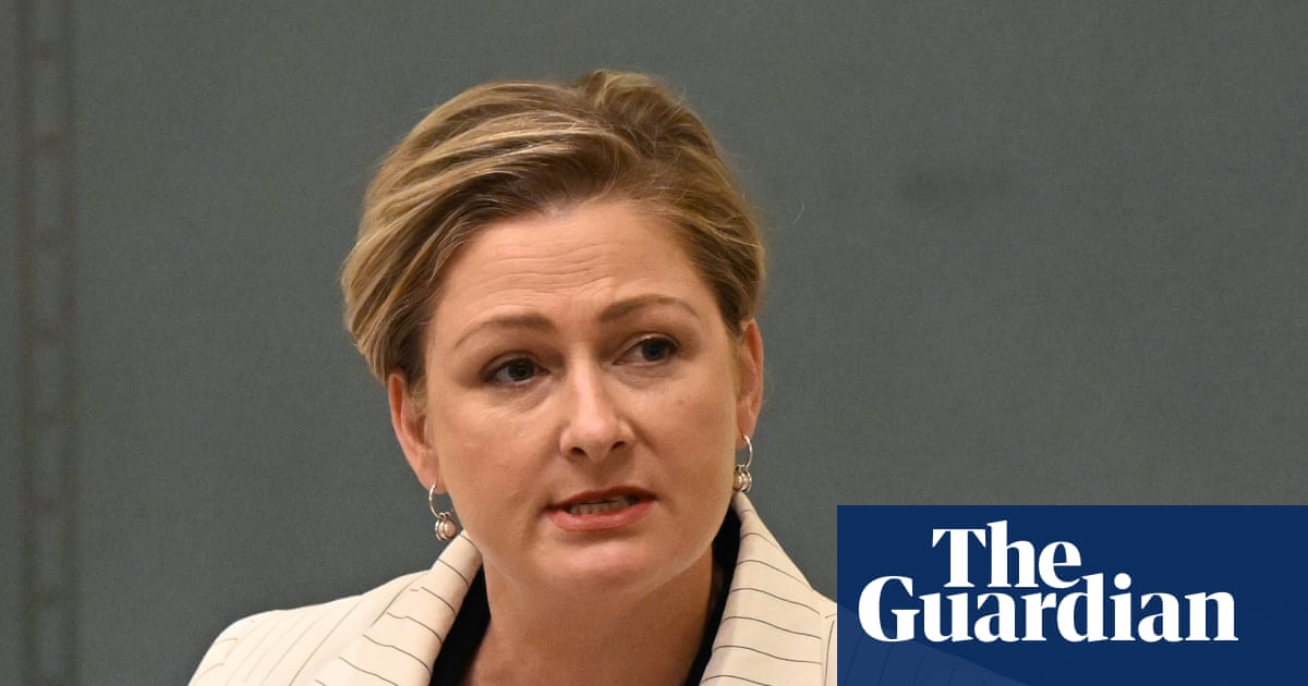 Embattled QLD Mininster Amanda Camm quits Crisafulli frontbench citing health and safety reasons