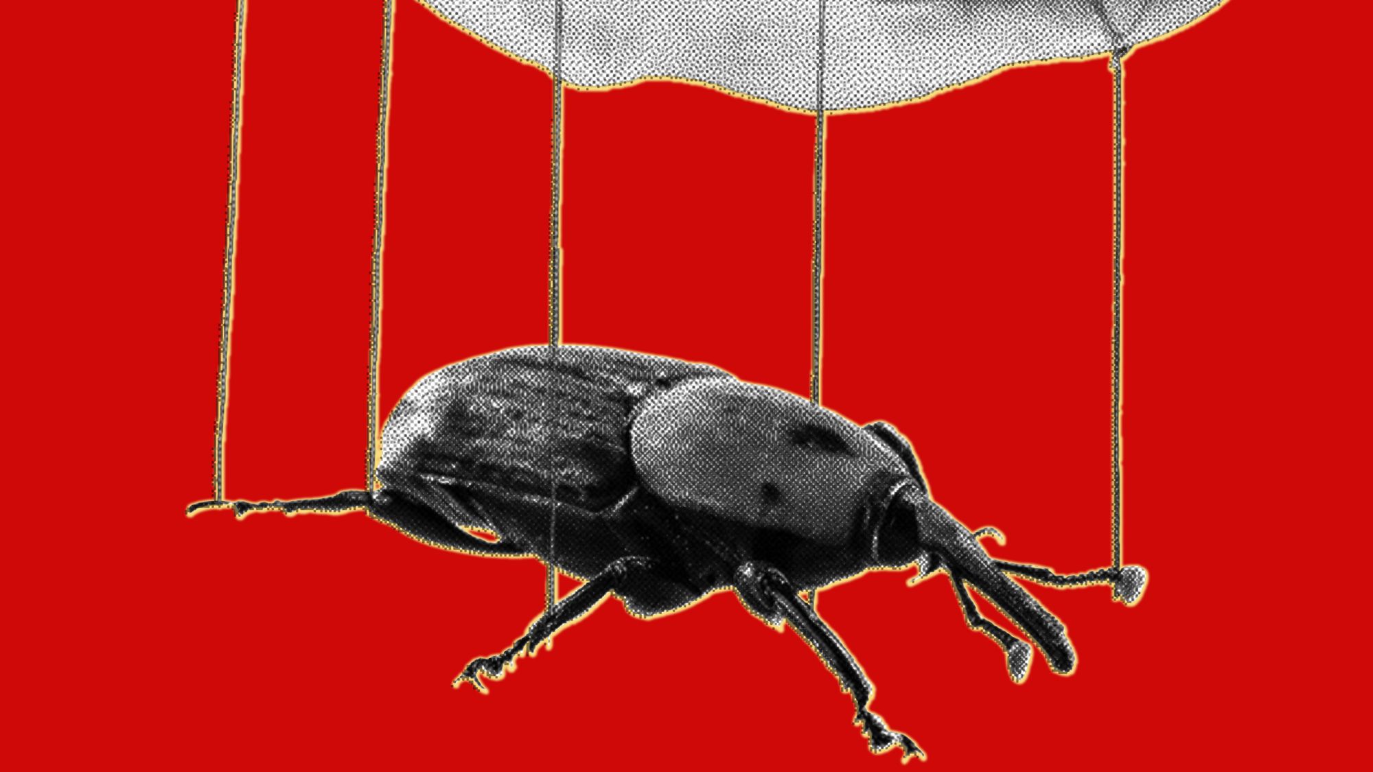 The PHP Meltdown Shows How AI Makes Bugs More Exploitable