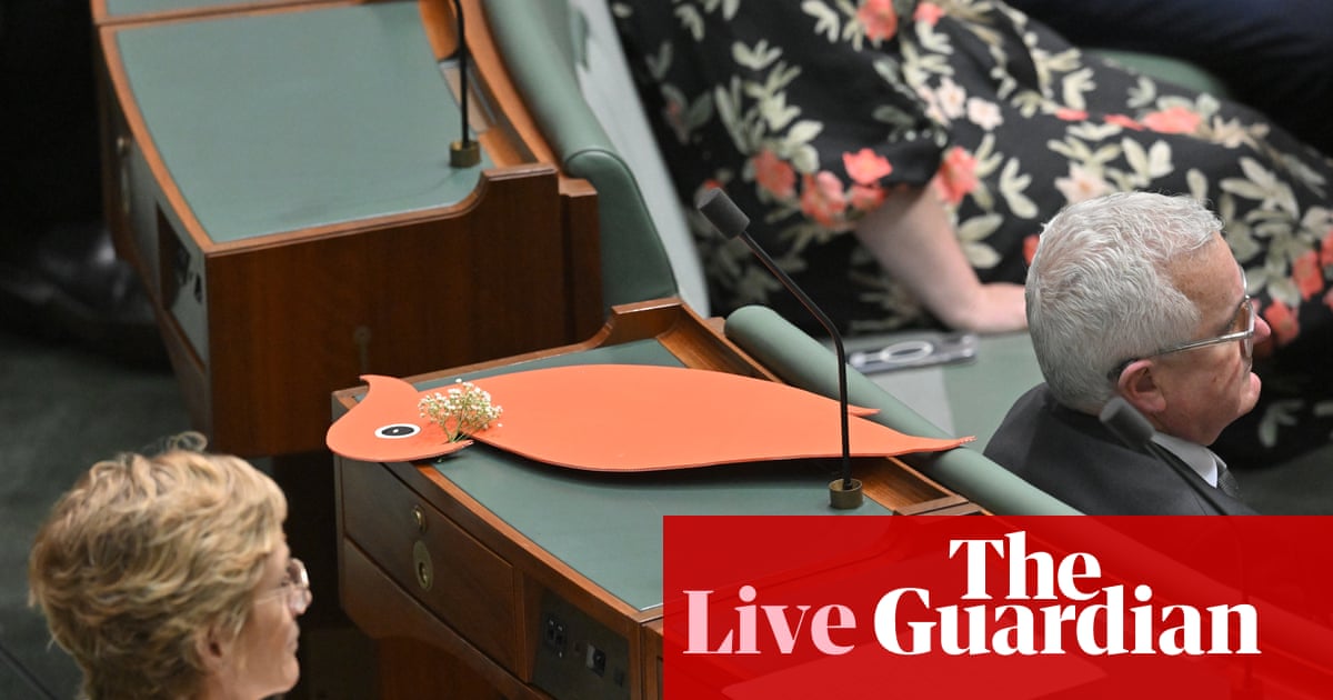 Australia politics live: Albanese leads emotional tributes to Haines in parliament; access to contraception and UTI treatment to become cheaper and easier