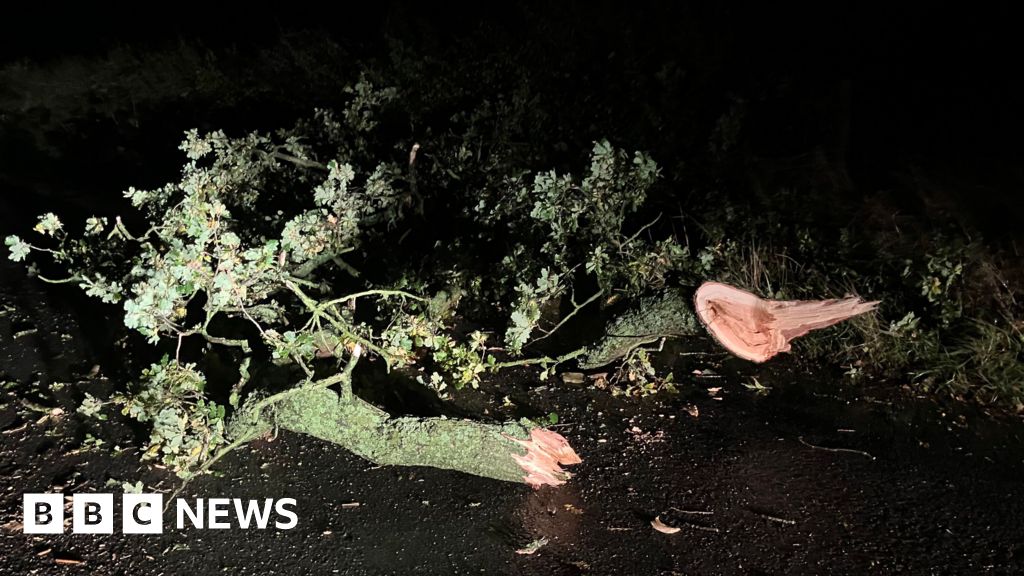 Storm Boelo: Hundreds in North East and Cumbria still without power