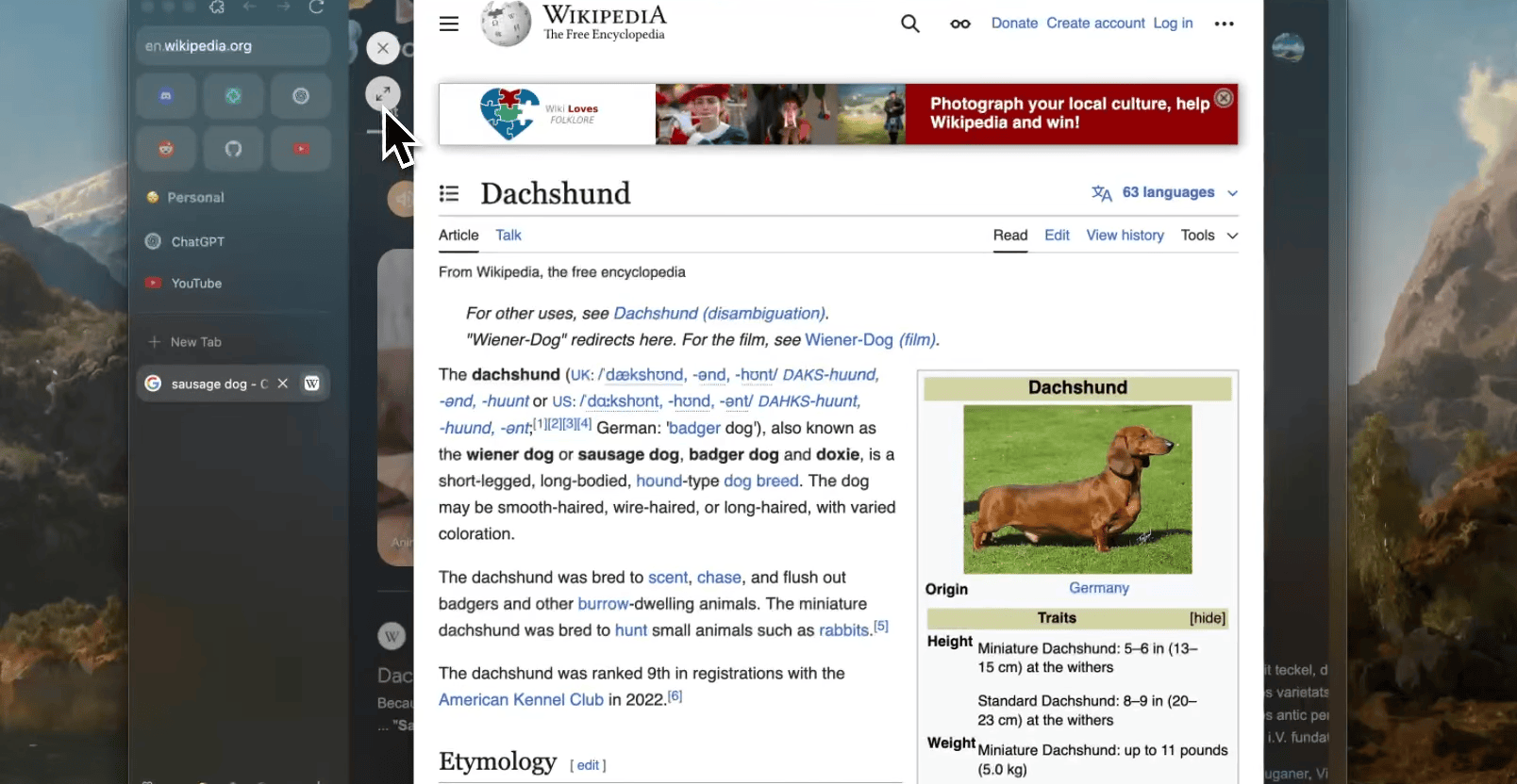 Zen Browser is the Arc replacement I was looking for