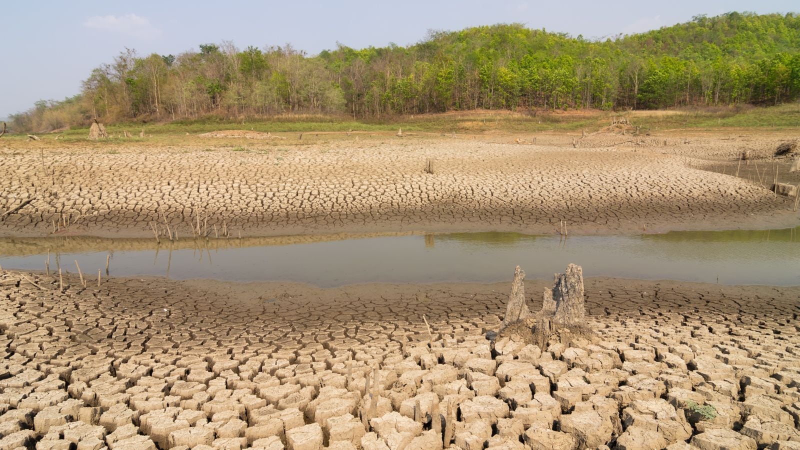 Rajasthan and Gujarat Declare Drought Amid Widening Agricultural Crisis Across States