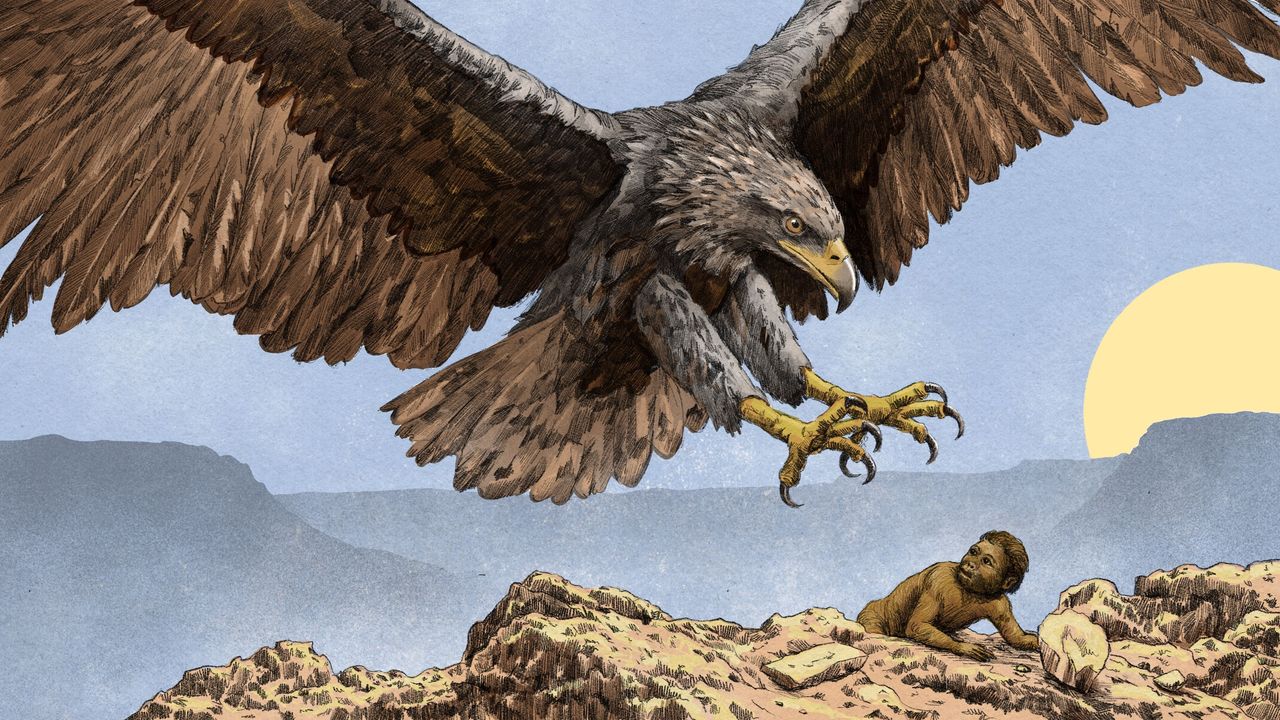 Giant eagles once ruled the skies. They snatched human children, and shaped our evolution
